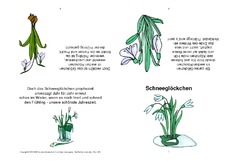 Faltbuch-Schneeglöckchen.pdf
